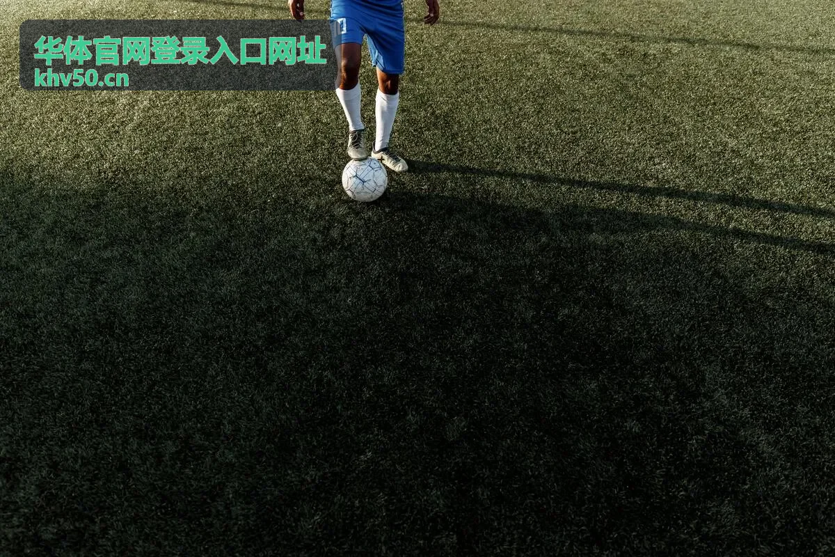 华体官网登录入口网址网页端入口示意